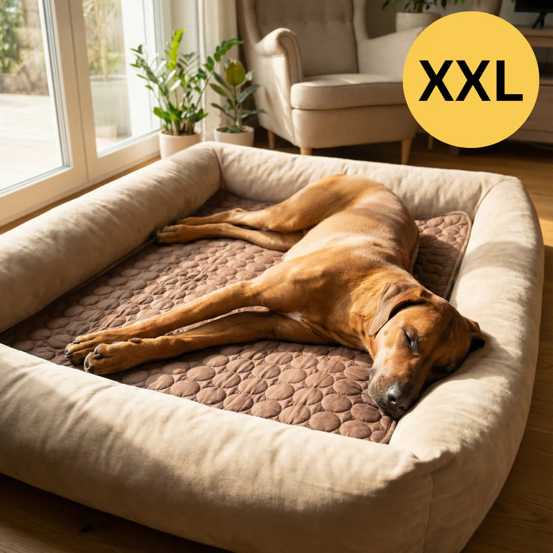 Tapis rafraîchissant pour l’été | Offre 1+1 offert