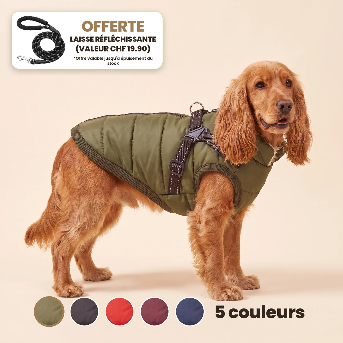 Manteau-harnais toutes saisons pour chien