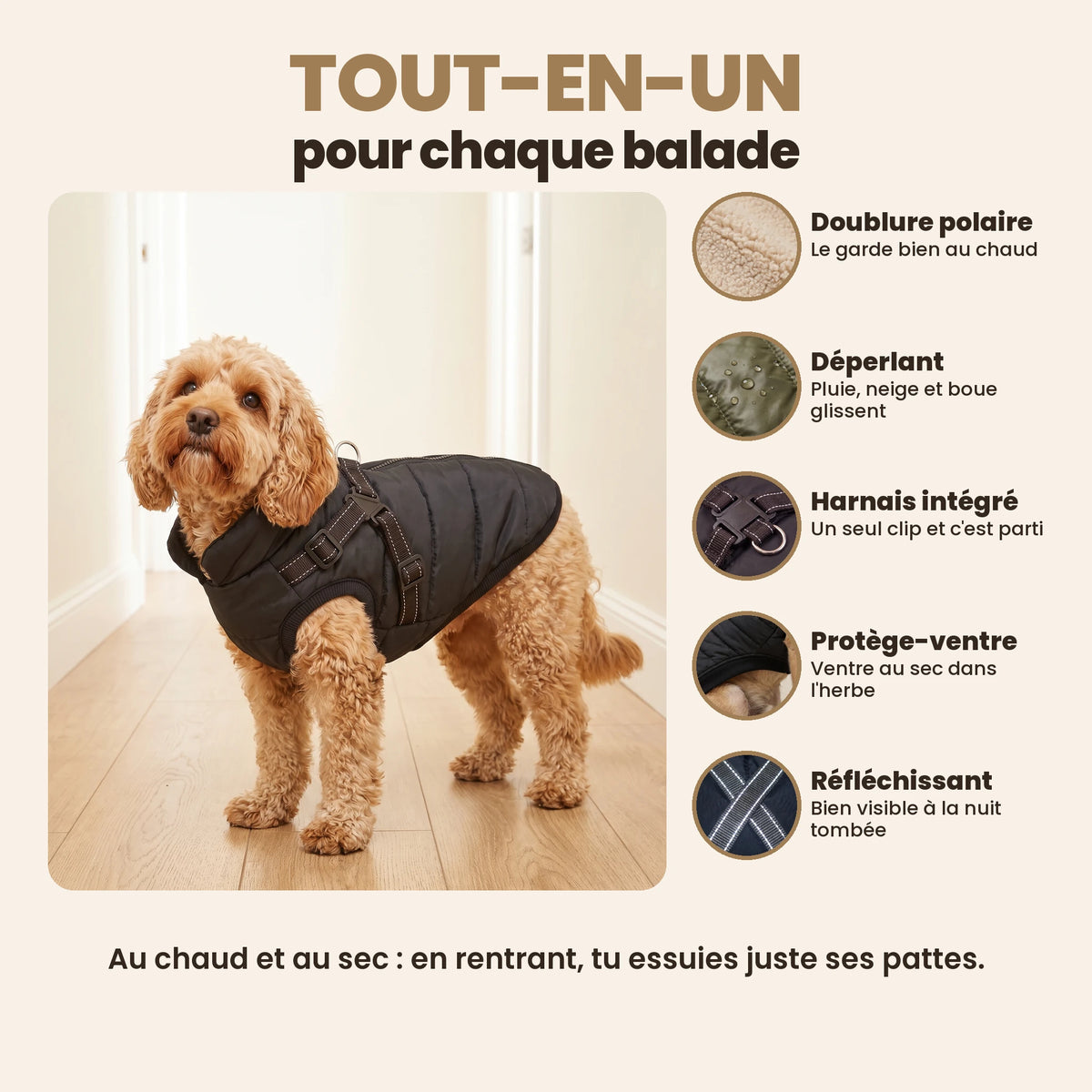 Manteau-harnais toutes saisons pour chien
