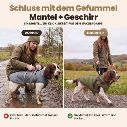 Manteau-harnais toutes saisons pour chien (DE)