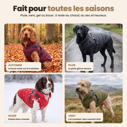 Manteau-harnais toutes saisons pour chien