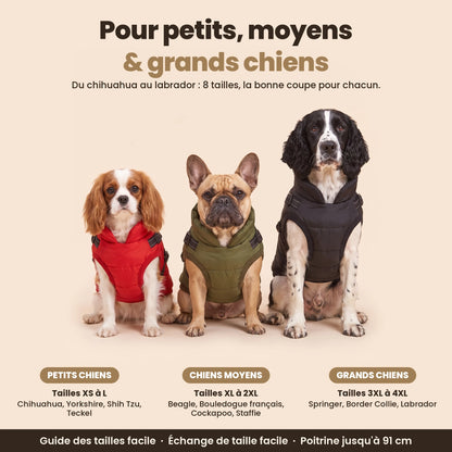 Manteau-harnais toutes saisons pour chien