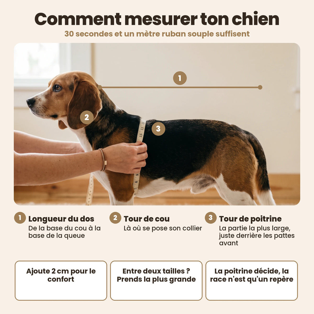 Manteau-harnais toutes saisons pour chien
