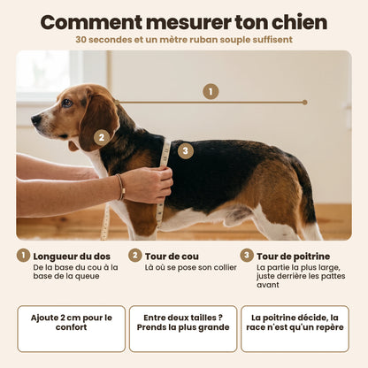 Manteau-harnais toutes saisons pour chien