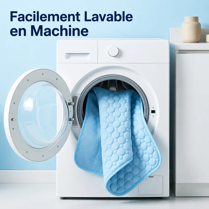CoconFrais | Tapis rafraîchissant pour chien en soie glacée