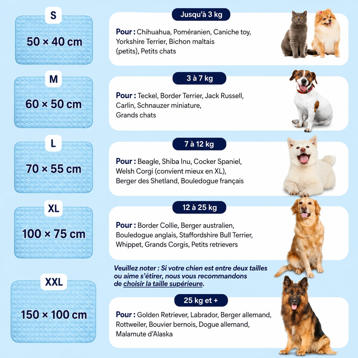 CoconFrais | Tapis rafraîchissant pour chien en soie glacée