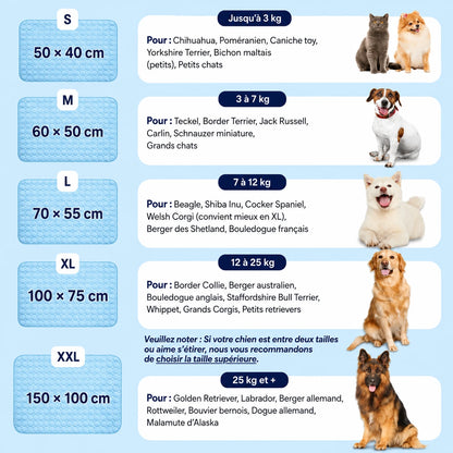 CoconFrais | Tapis rafraîchissant pour chien en soie glacée