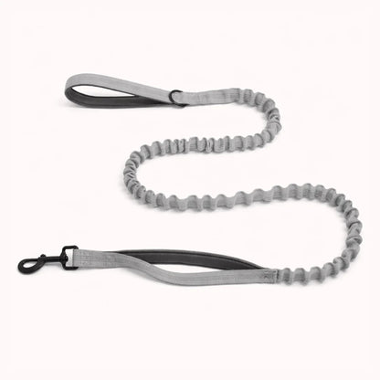 Laisse élastique assortie