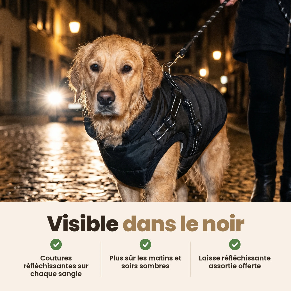 Manteau-harnais toutes saisons pour chien
