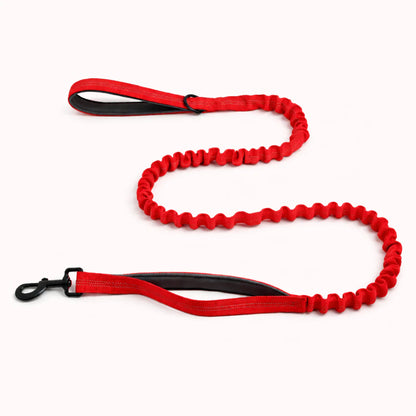 Laisse élastique assortie