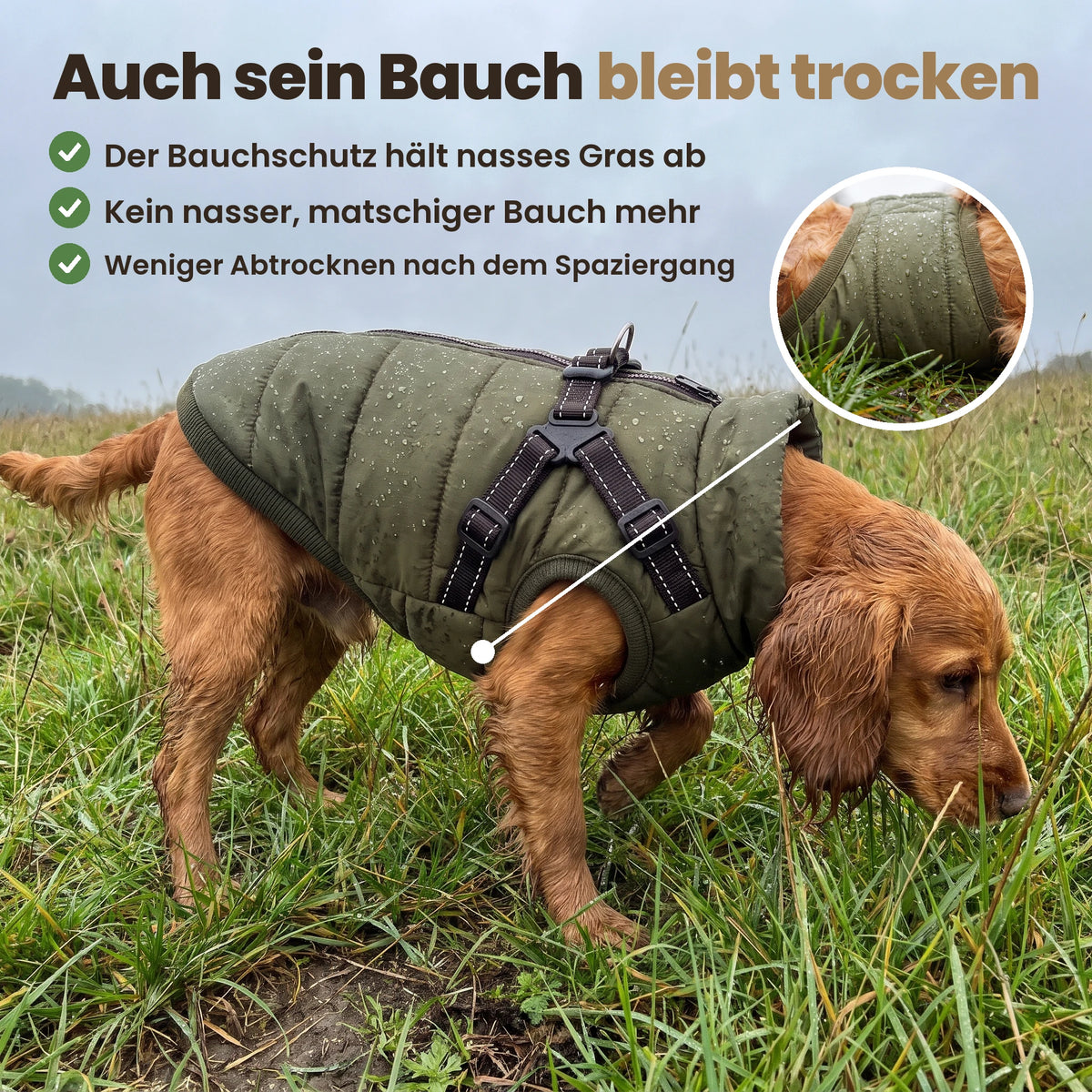 Manteau-harnais toutes saisons pour chien (DE)