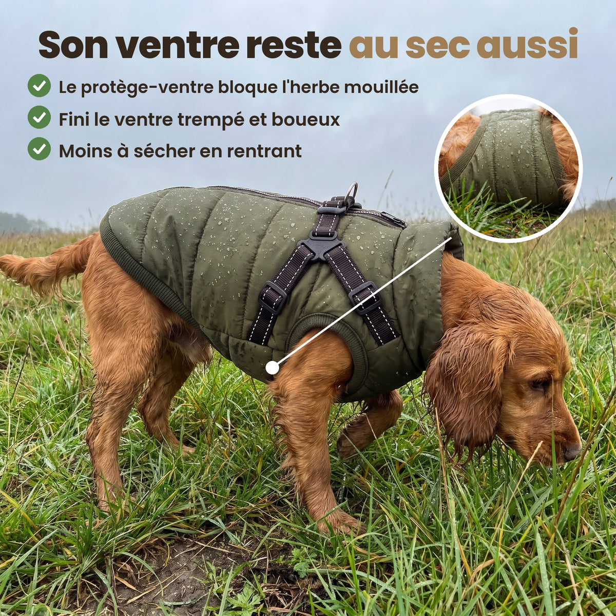Manteau-harnais toutes saisons pour chien