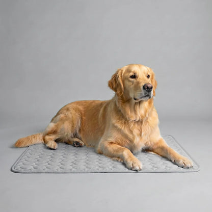 CoconFrais | Tapis rafraîchissant pour chien en soie glacée