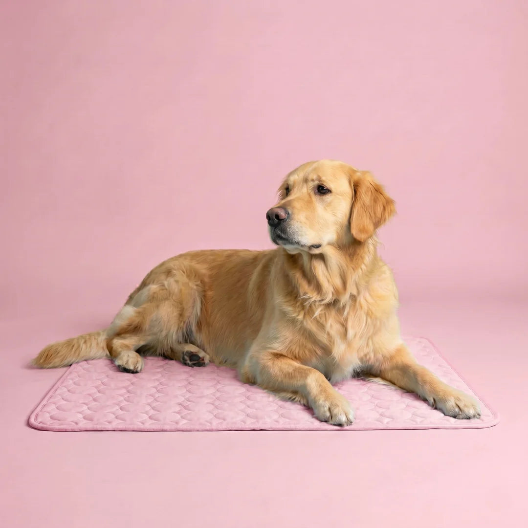 CoconFrais | Tapis rafraîchissant pour chien en soie glacée
