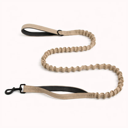 Laisse élastique assortie