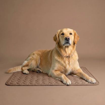 CoconFrais | Tapis rafraîchissant pour chien en soie glacée