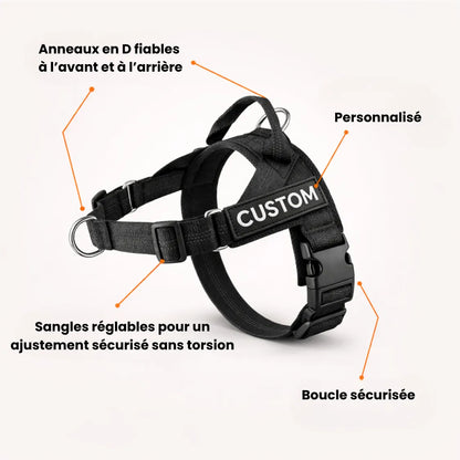Harnais anti-traction pour chien Pratikae