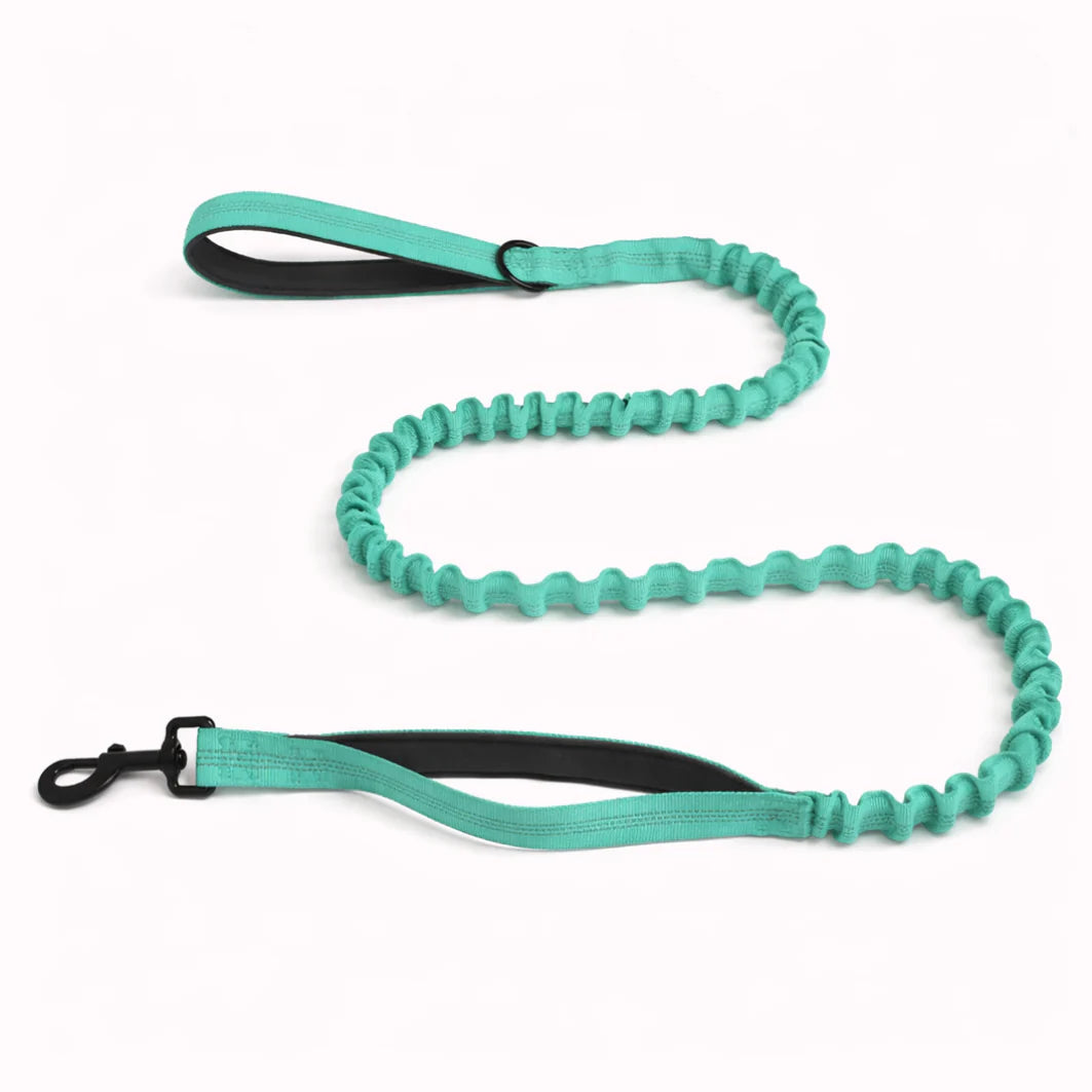 Laisse élastique assortie