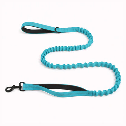 Laisse élastique assortie