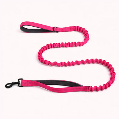 Laisse élastique assortie