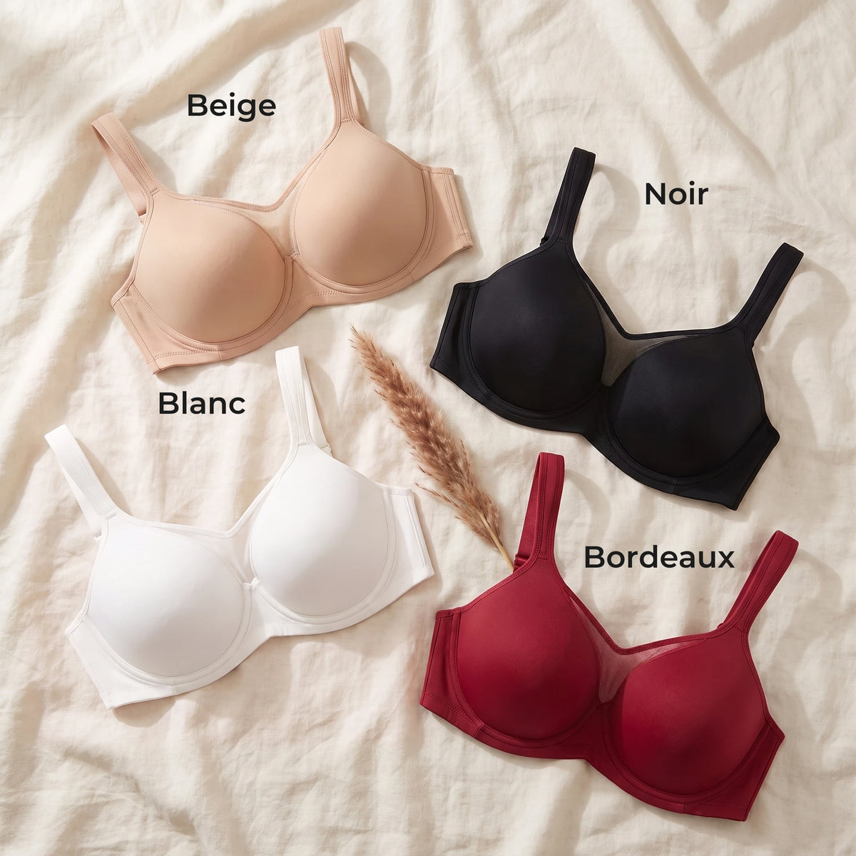 FR les 4 couleurs
