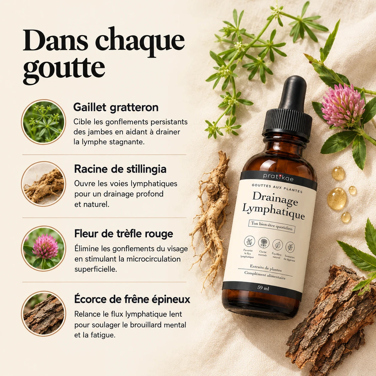 Gouttes drainage lymphatique – ingrédients