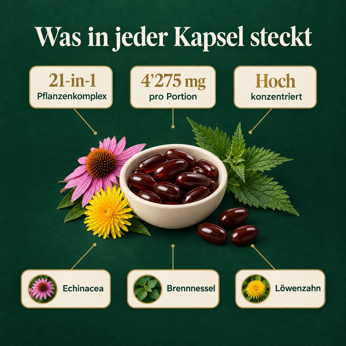 Lymphdrainage Kapseln