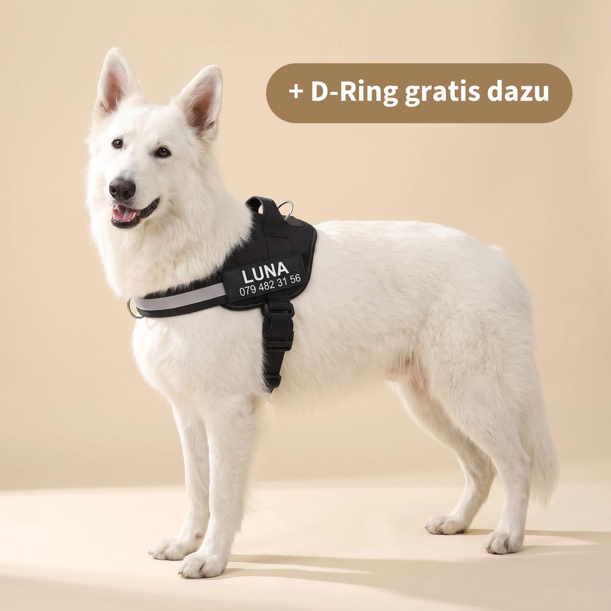 Geschirr mit D-Ring kostenlos