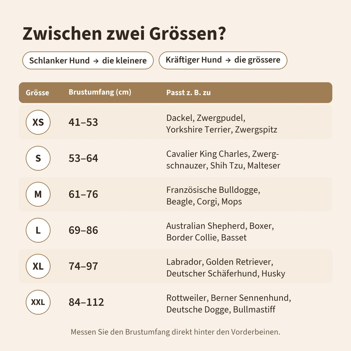 Grössentabelle für Geschirr