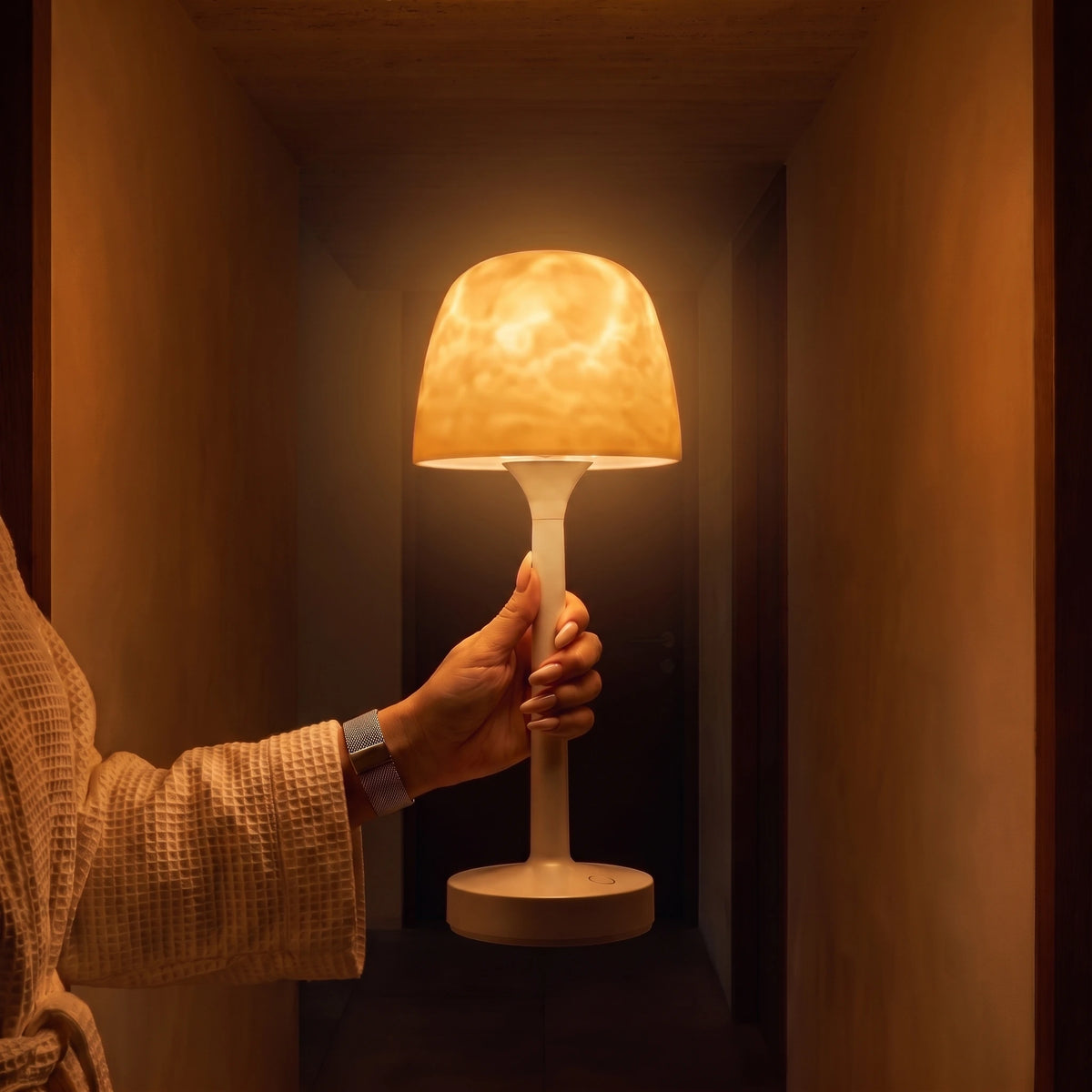 Lampe sans fil emportée à la main