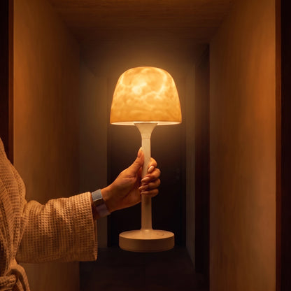 Lampe sans fil emportée à la main