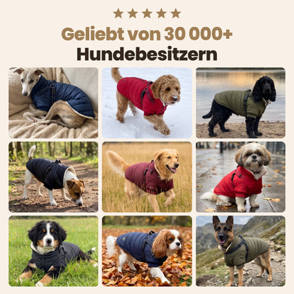 Manteau-harnais toutes saisons pour chien (DE)