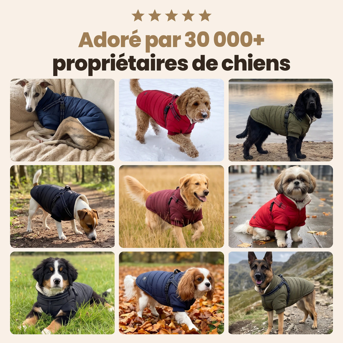 Manteau-harnais toutes saisons pour chien