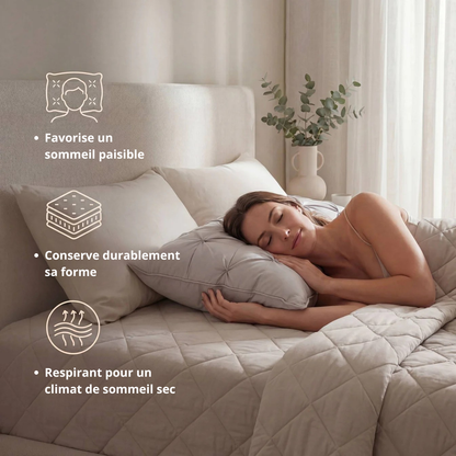 Oreiller premium hypoallergénique