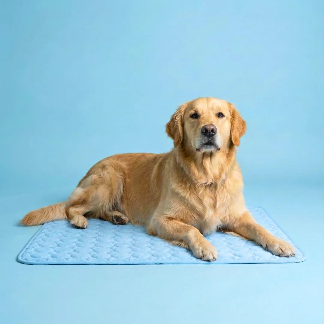 CoconFrais | Tapis rafraîchissant pour chien en soie glacée
