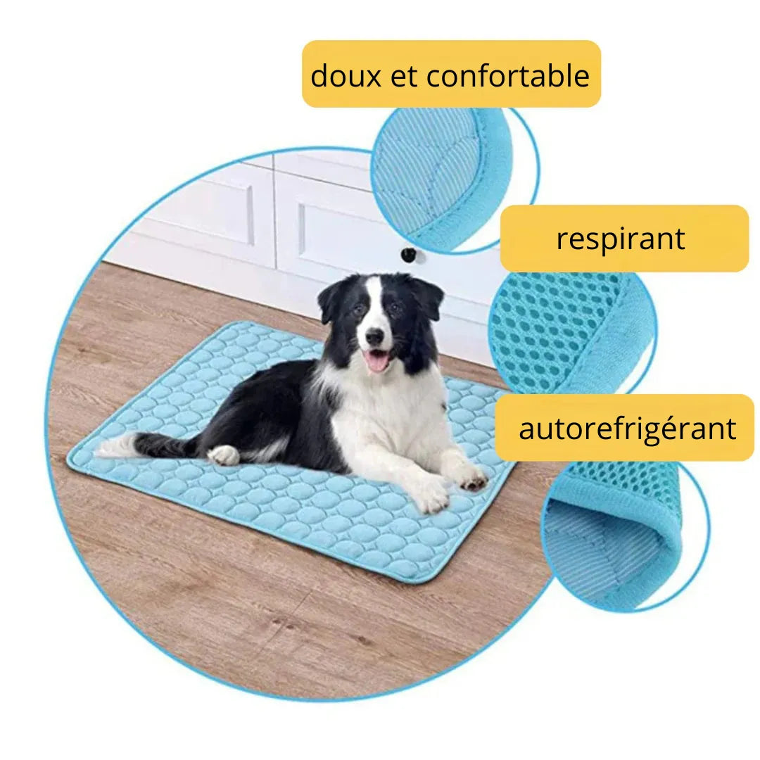 Tapis rafraîchissant pour l’été | Offre 1+1 offert