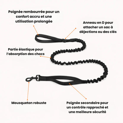 Harnais anti-traction pour chien Pratikae