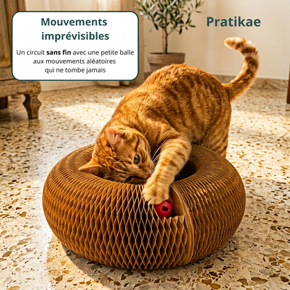 Griffe, Joue, Dort - Tout En Un