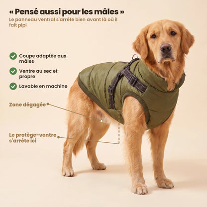 Manteau-harnais toutes saisons pour chien
