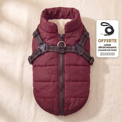 Manteau-harnais toutes saisons pour chien