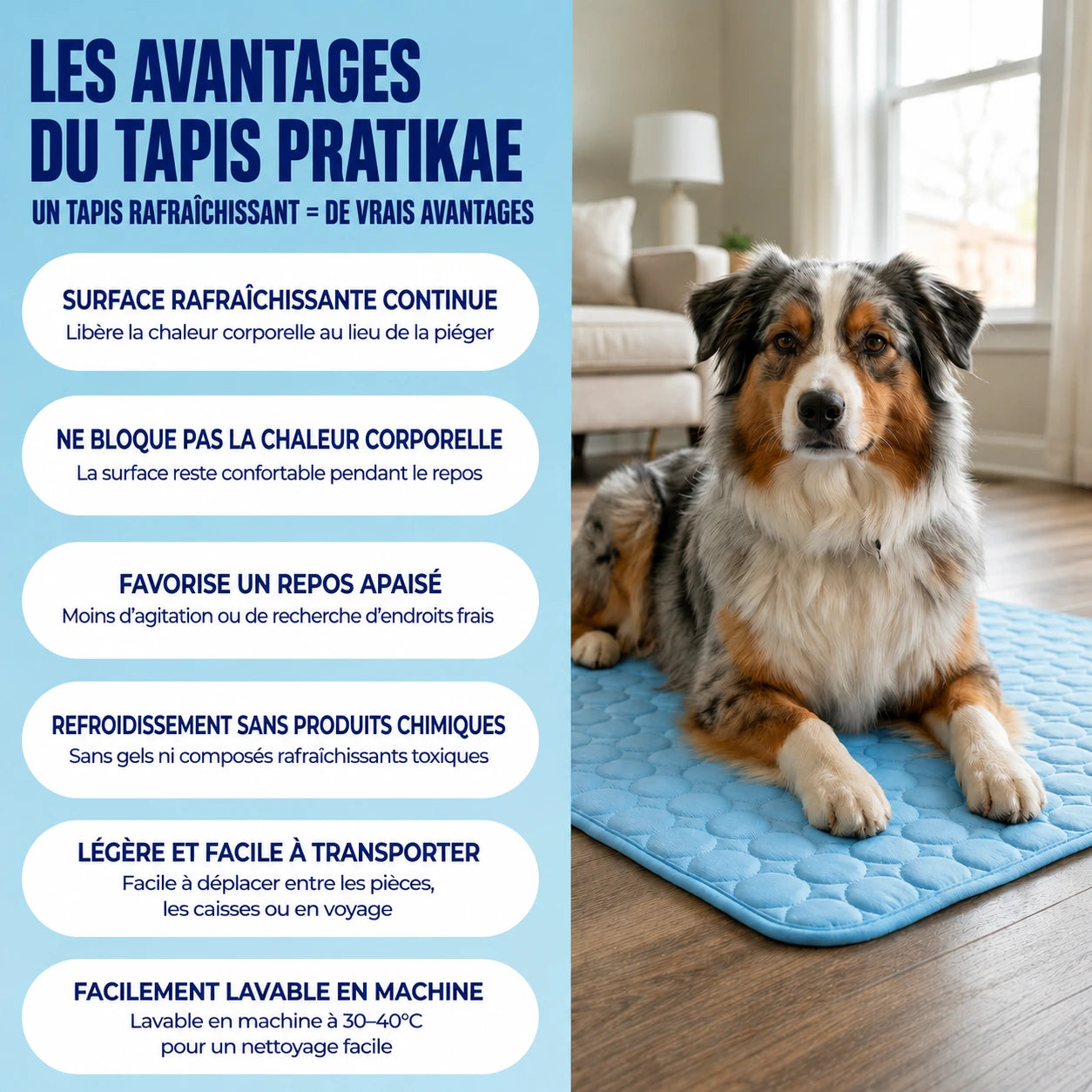 CoconFrais | Tapis rafraîchissant pour chien en soie glacée