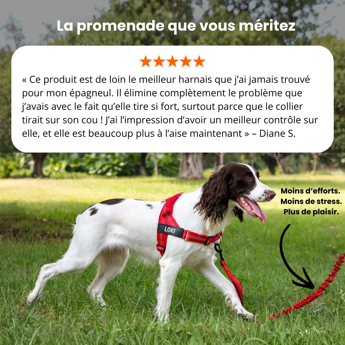 Harnais anti-traction pour chien Pratikae