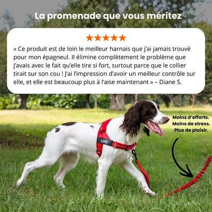 Harnais anti-traction pour chien Pratikae