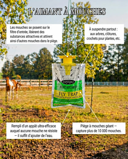 BioCatch – Grand piège à mouches suspendu pour une protection efficace contre les mouches