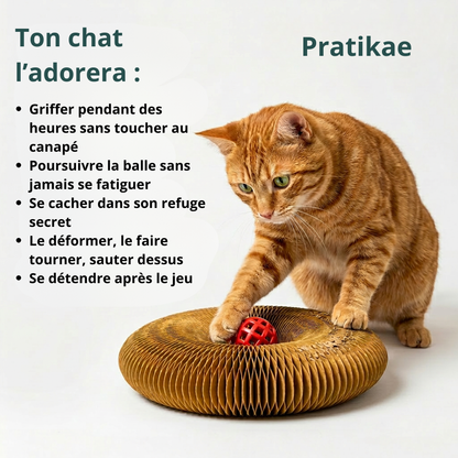 Griffe, Joue, Dort - Tout En Un
