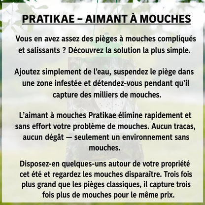 BioCatch – Grand piège à mouches suspendu pour une protection efficace contre les mouches