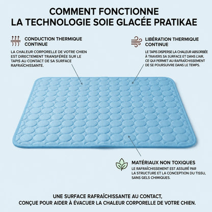 CoconFrais | Tapis rafraîchissant pour chien en soie glacée