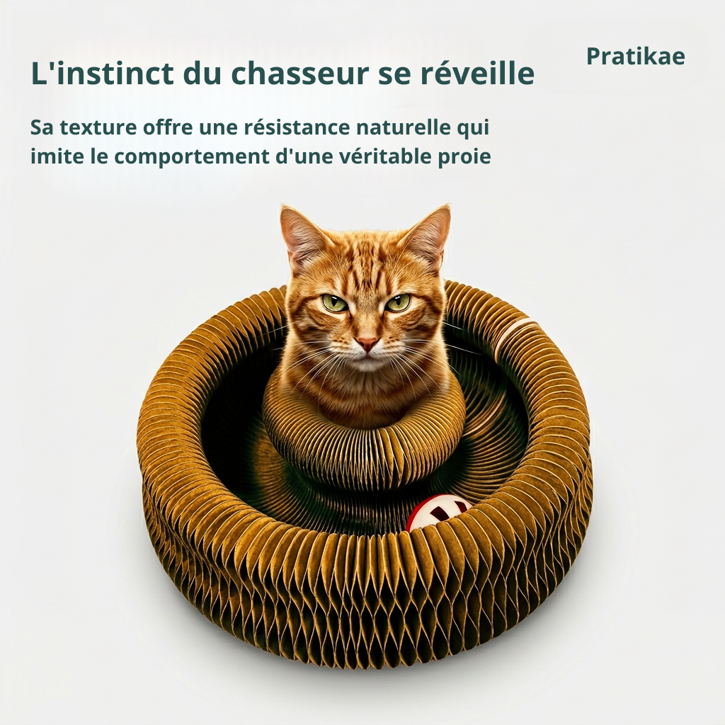 Griffe, Joue, Dort - Tout En Un