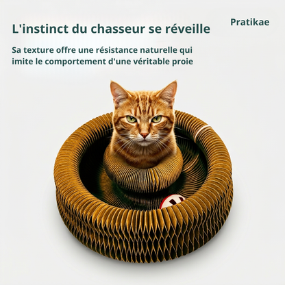 Griffe, Joue, Dort - Tout En Un