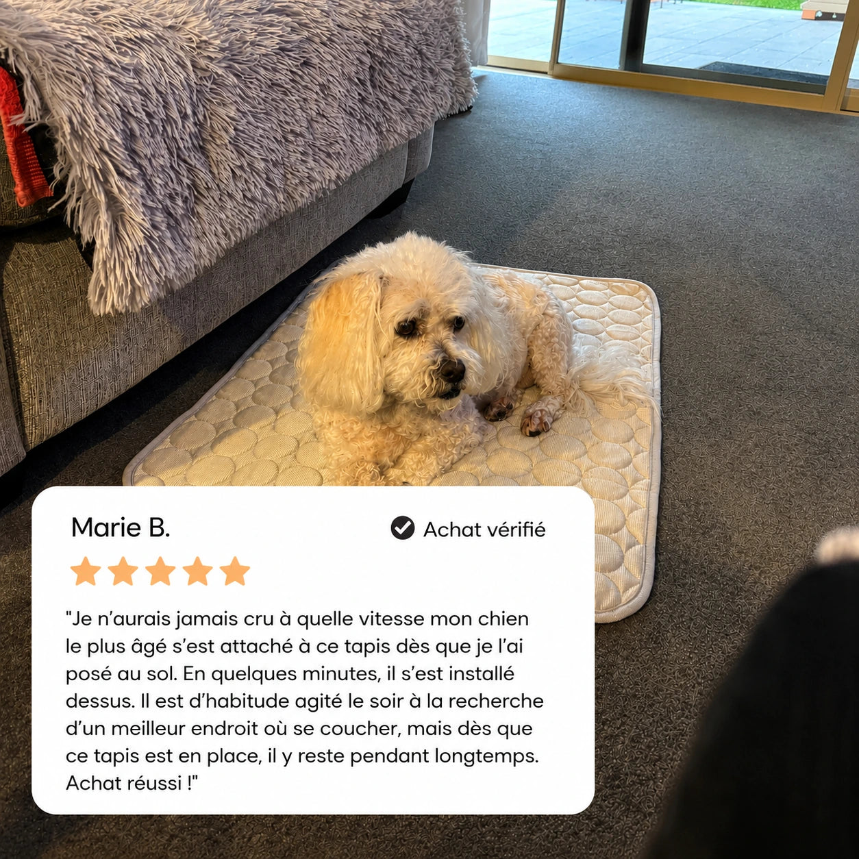 CoconFrais | Tapis rafraîchissant pour chien en soie glacée